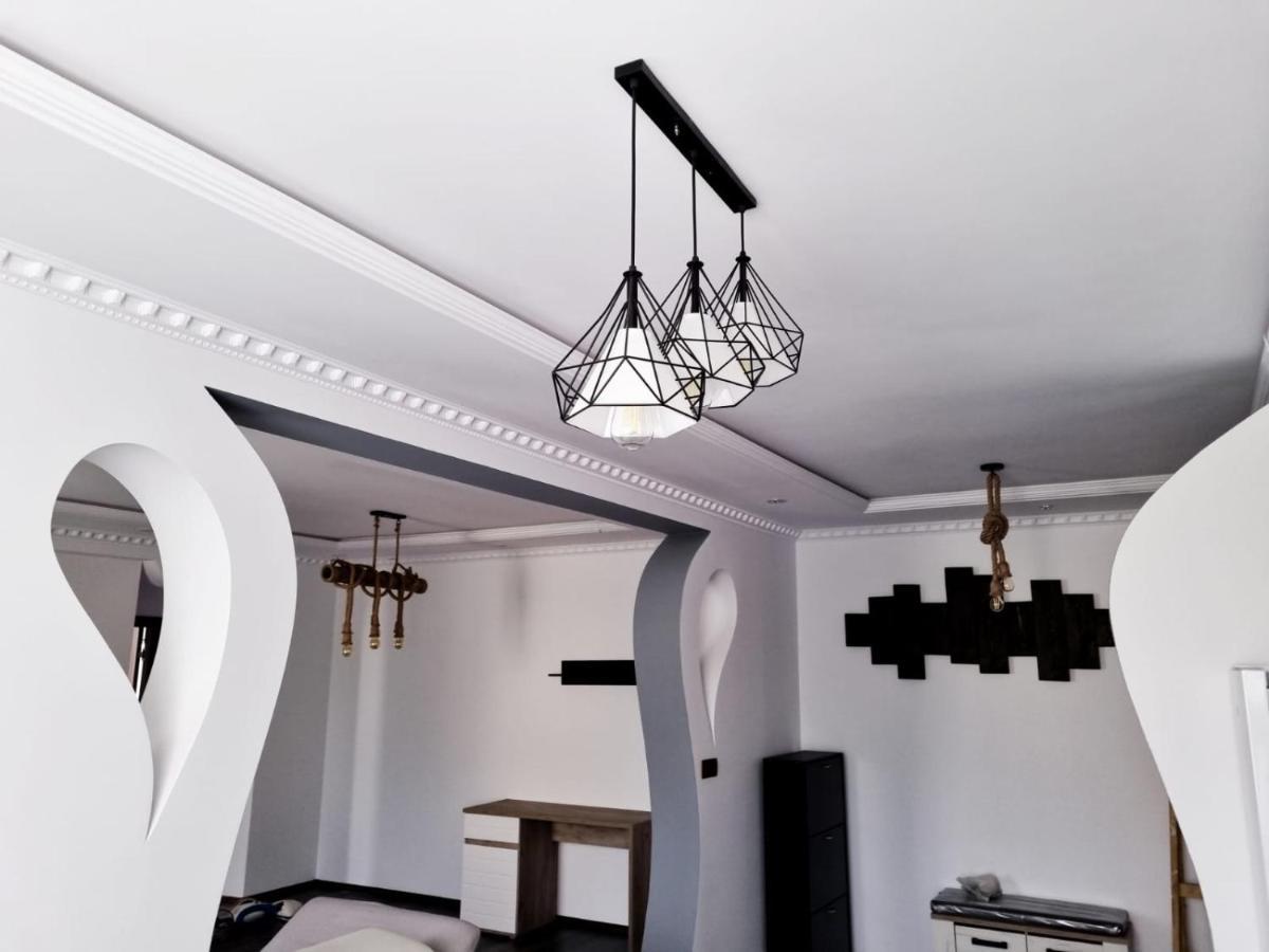 Luxury Apartment Satu Mare Extérieur photo