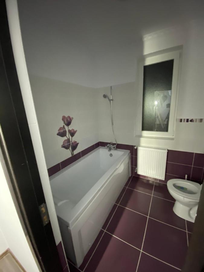 Luxury Apartment Satu Mare Extérieur photo