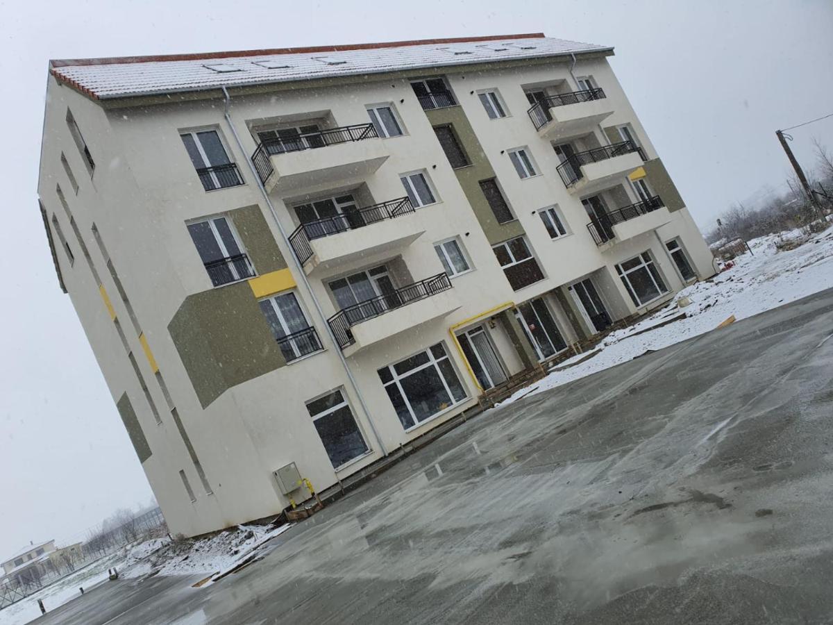 Luxury Apartment Satu Mare Extérieur photo