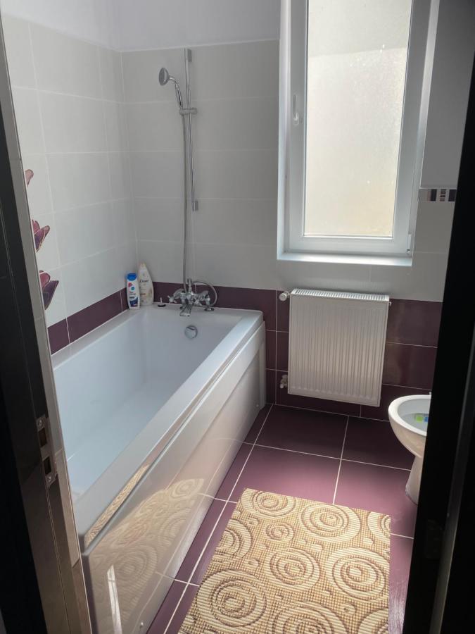Luxury Apartment Satu Mare Extérieur photo