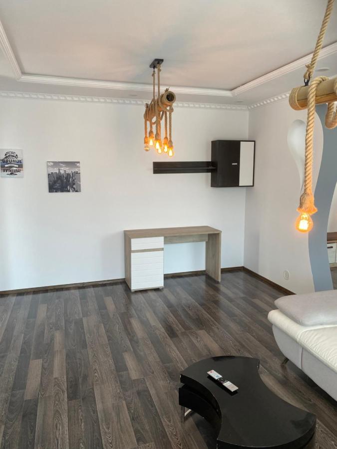 Luxury Apartment Satu Mare Extérieur photo