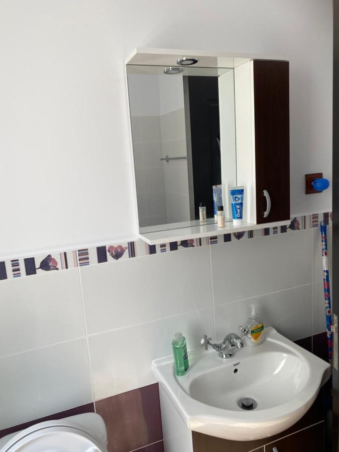 Luxury Apartment Satu Mare Extérieur photo